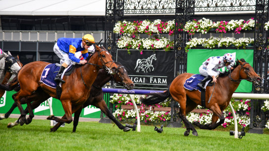 Santa Ana Lane flashes home for second behind Sunlight in last Saturday's Gilgai Stakes.