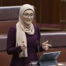 ‘Catch a dub’: Fatima Payman tries to make ‘skibidi’ happen in the Senate