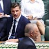 Opposition Leader Angus Taylor and Prime Minister Anthony Albanese during question time.