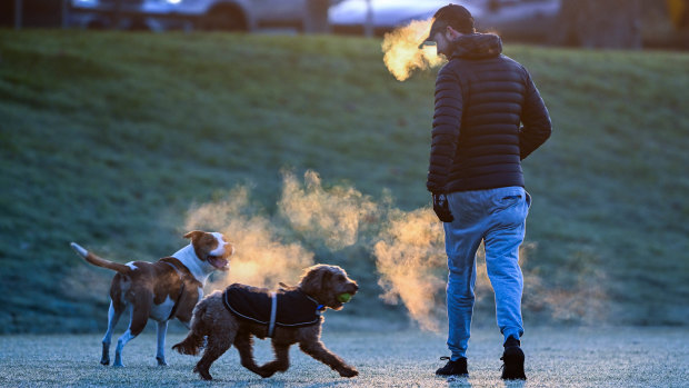 Shame, humility and tennis balls: Going to the dog park is like church, but better