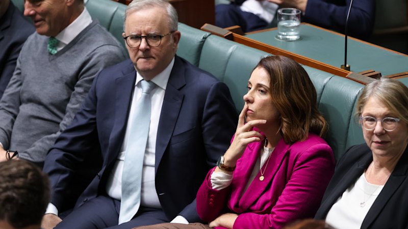 Coalition, Greens team up to delay Labor’s ‘half-arsed’ gambling bill (australia) — SMH