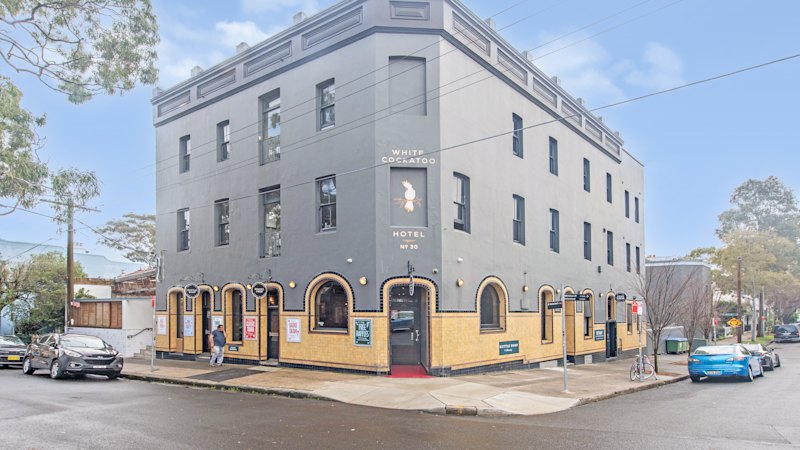 Pub goes up for sale, complete with Georgie the cockatoo
