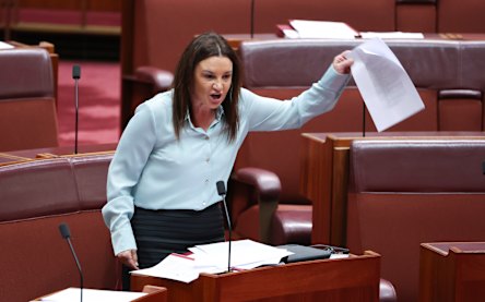 Jacqui Lambie in the Senate in November.