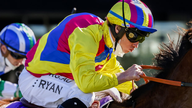 Brock Ryan will pilot Finally Realise again at Kensington on Wednesday, after an unlucky run in his last outing.