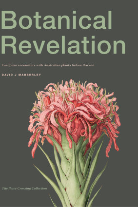 <i>Botanical Revelation</i> tells the story of early plant hunters in Australia.