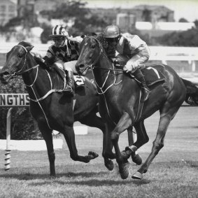Bahroona Sahib scores at Rosehill in 1979