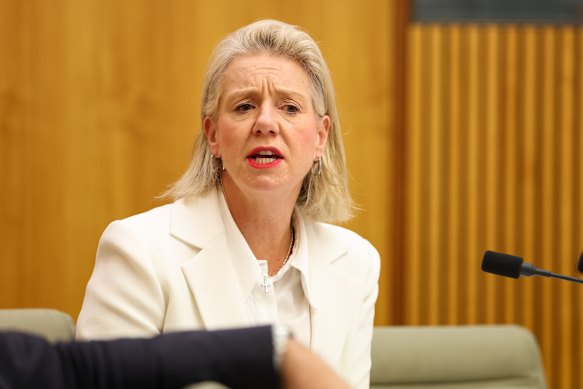 Nationals senator Bridget McKenzie at Parliament House yesterday. 