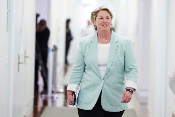 Liberal MP Mary Aldred says a cut in tobacco excise as part a crackdown on the illegal trade was needed.