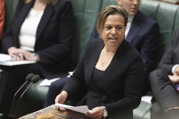 Communications Minister Michelle Rowland during question time last week.