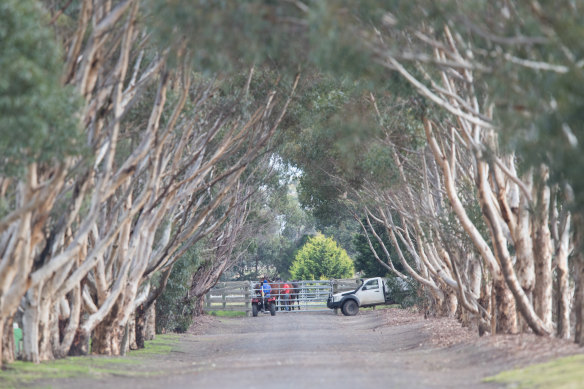 Stonehedge Farm on the Bellarine Peninsula.