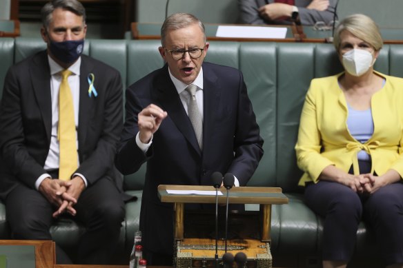 Opposition Leader Anthony Albanese. 