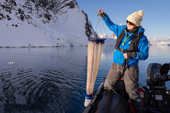 Research connected to Antarctic tourism is informing real-world environmental policy.