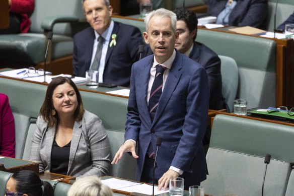 Minister for Immigration, Citizenship and Multicultural Affairs Andrew Giles in parliament. 