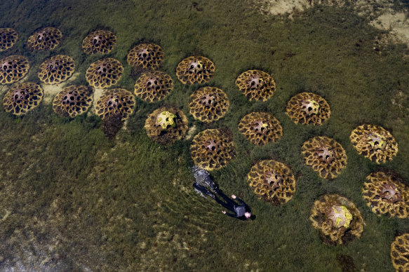 The artificial reef at Clifton Springs. 