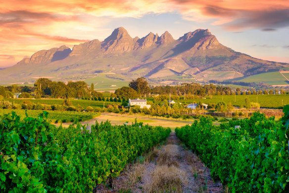 Cabernet country at Stellenbosch, near Cape Town… South Africa’s wine scene is criminally underrated.
