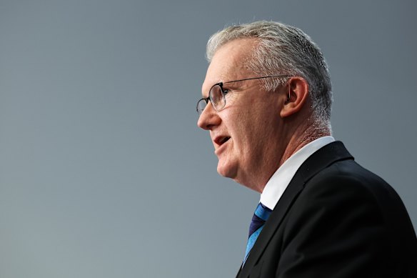 Home Affairs Minister Tony Burke earlier this month.