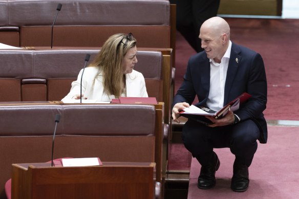 Senators Tammy Tyrrell and David Pocock have combined forces with the Greens to urge the government to go further in its key housing legislation.