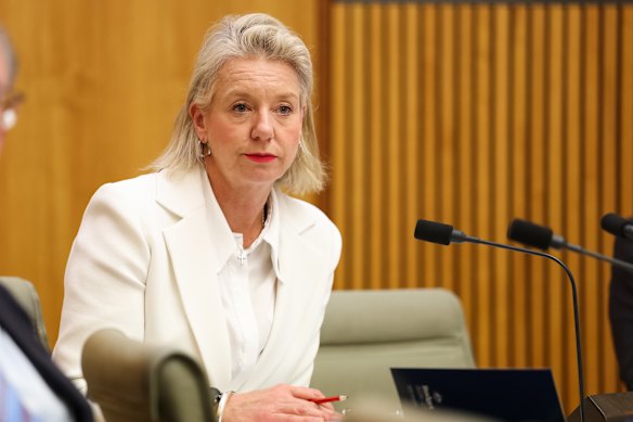 Photo of Senator Bridget McKenzie taken on Monday.