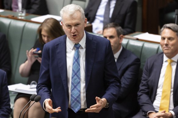 Industrial Relations Minister Tony Burke.