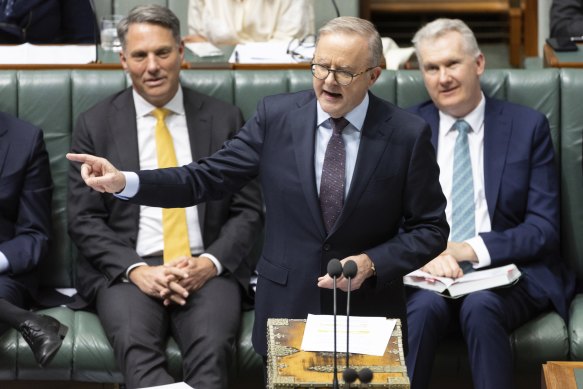 Prime Minister Anthony Albanese during question time.