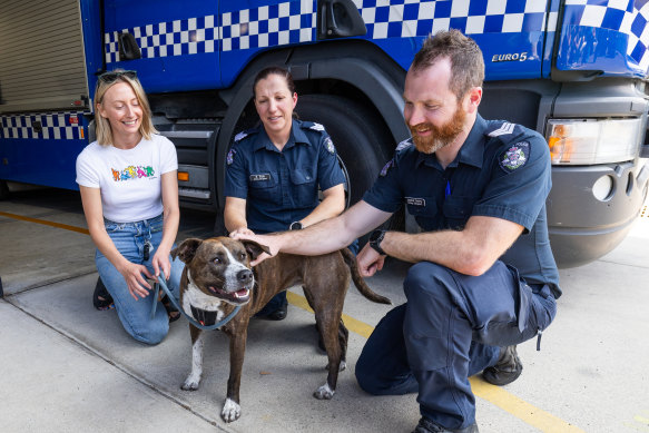 Minka is back to being a good girl after her water rescue in Werribee on Tuesday.