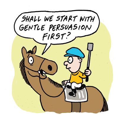 Whips are used to “persuade” the horse.