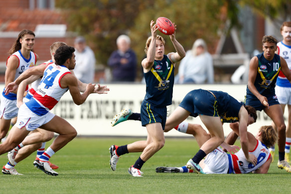 Levi Ashcroft (centre) starred for the AFL Academy.