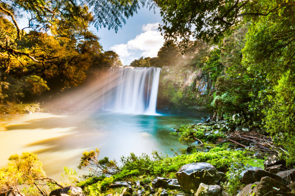 Rainbow Falls in Kerikeri, New Zealand. 