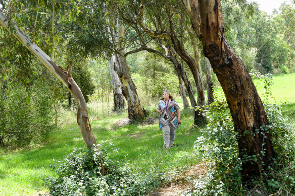 Friends of Banyule president Michelle Giovasin Yallambie's Borlase Reserve. The land has been acquired by the government for the North-East link project.