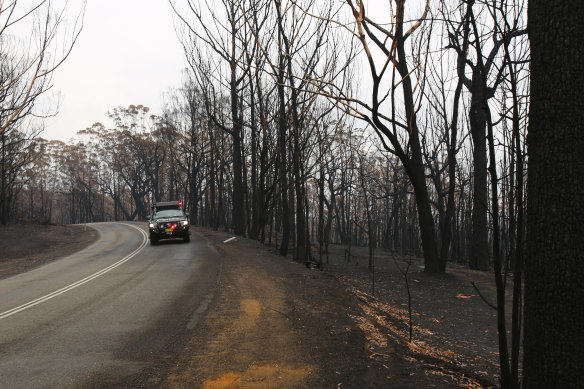 Anyone who sees suspicious activity in bushfire zones has been urged to report it to police. 