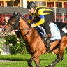Damian Lane will ride favourite Prognosis from Japan in the Cox Plate.