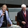 Will teal MP Zali Steggall step up to be the next crossbench whip?