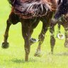 Collett primed to continue rich vein of form at Wyong
