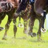 Race-by-race tips and preview for Taree on Tuesday