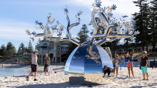 ‘The Boab’ at Cottesloe 2021. 