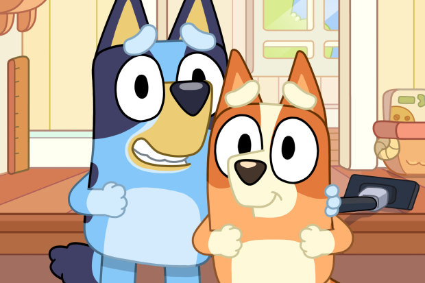 Bluey is a ratings and audience hit.
