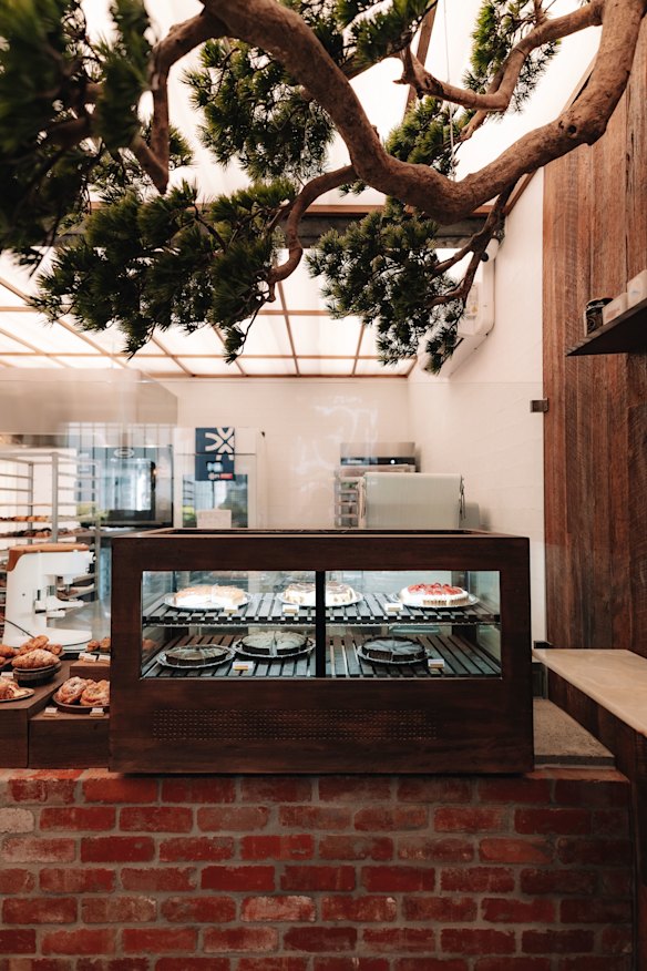 At Maison Bake, you’ll find the daily selection of sweet and savoury pastries on cheerful ceramic plates beneath a hanging bonsai tree.