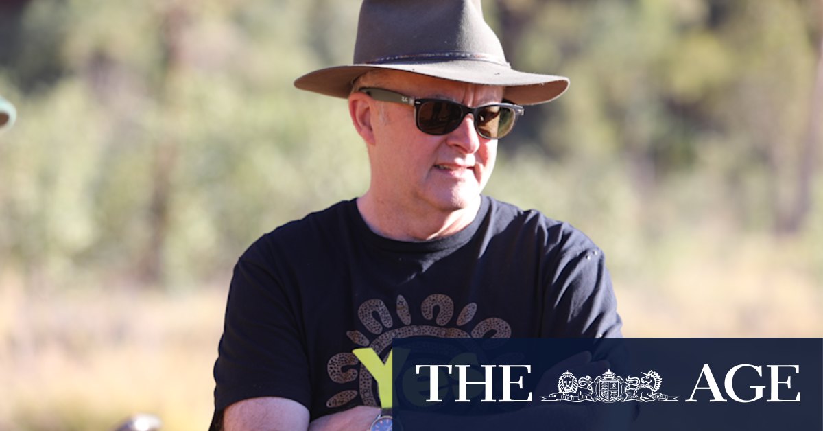 Voice to parliament: Anthony Albanese pushed on alternative to legislated Voice following referendum defeat - Vimarsana News