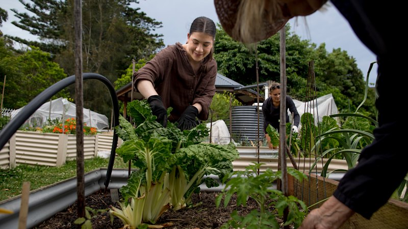 The 10-minute backyard habit I used as a stress-buster