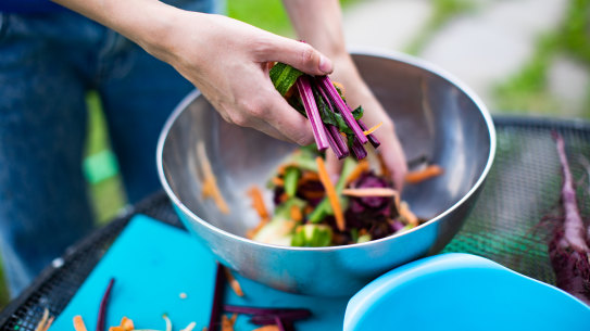 I thought I was composting my household waste correctly.