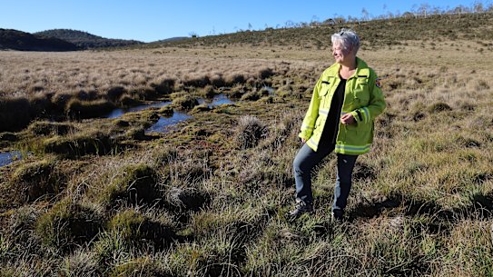 NSW Environment Minister Penny Sharpe inspecting recovery from damage caused by wild horses in Kosciuszko National Park.