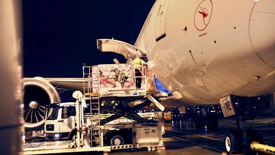 The first repatriation flight was due to return from New Delhi, India to Australia on Saturday.