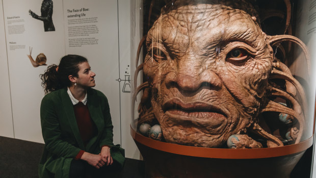 Move over, hobbits, the Time Lord has arrived in the Southern Hemisphere