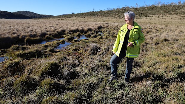 NSW Environment Minister Penny Sharpe inspecting recovery from damage caused by wild horses in Kosciuszko National Park.