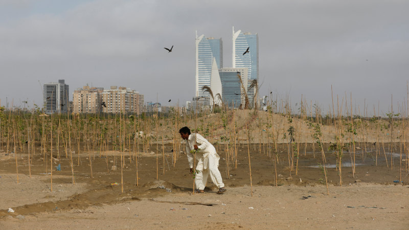 Pakistanlılar, Karaçi çöplüğünün olduğu bir vaha dikiyor