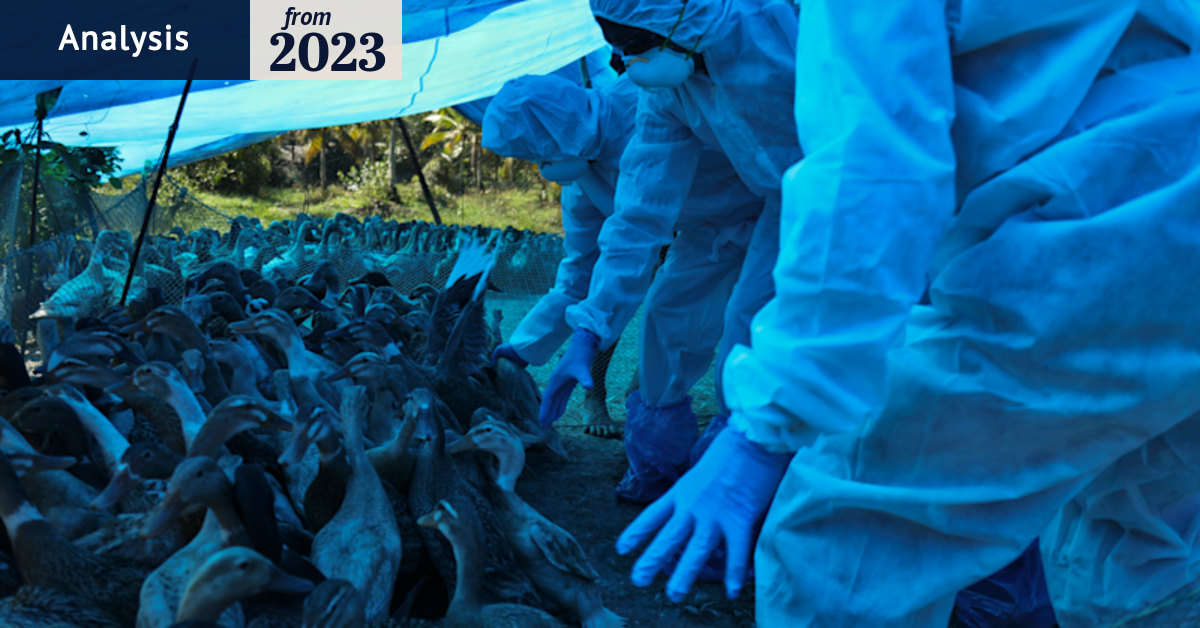Bird flu: For the first time, H5N1 is moving through mammals and ...