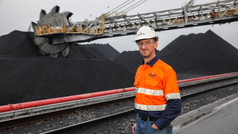 Climate urgency fades as investors rediscover carbon