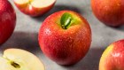 Raw Red Organic Cosmic Crisp Apples.
