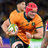 Harry was in limbo over Cup snub. Now he will give Wallabies no option