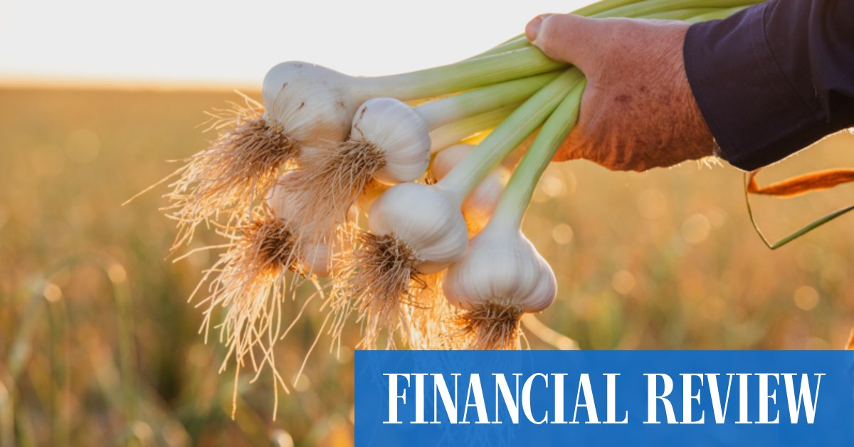 Australian garlic kills COVID-19, scientists at Peter Doherty Insitute find, raising hopes for bigger export marketThe Australian Financial ReviewClose menuSearchExpandExpandExpandExpandExpandExpandExpandExpandExpandExpandExpandCloseAdd tagAdd tagAdd tagAdd tagAdd tagThe Australian Financial ReviewTwitterInstagramLinkedInFacebook
